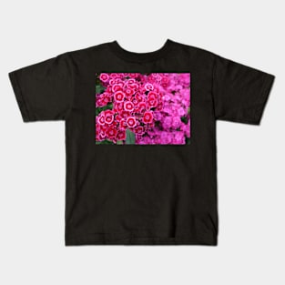 Sweet William pink flower Auricula-Eyed Mixed Kids T-Shirt